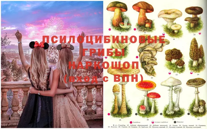 продажа наркотиков  МЕГА tor  Галлюциногенные грибы Psilocybe  Миллерово 